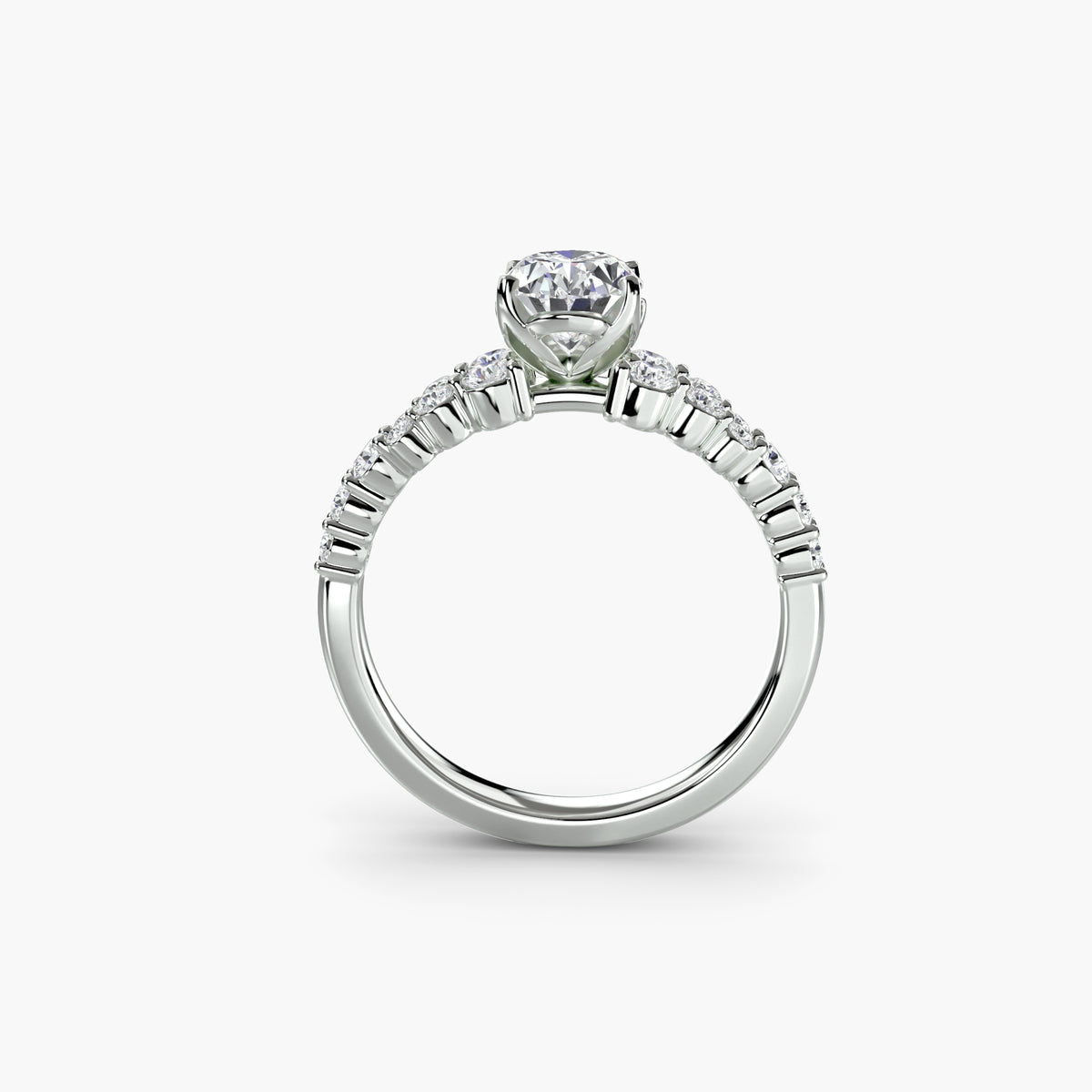 The Celestial Cluster Ring — view 1