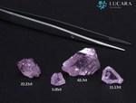 One of the world’s largest PINK Diamonds discovered – 62.7 carats - Monroe Yorke Diamonds