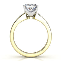 Albany – Yellow and Rose Gold Princess Cut Diamond Engagement Ring