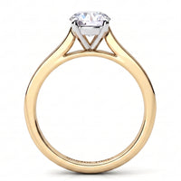 Denver yellow gold engagement ring, side view showing the four claw centre head and the diamonds running along the shoulders.