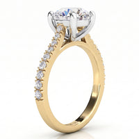 Enya yellow gold engagement ring, round centre diamond and a row of small round diamonds along the shank.