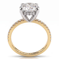 Liliana - Unique Hidden Halo Engagement Ring