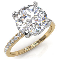 Liliana - Unique Hidden Halo Engagement Ring