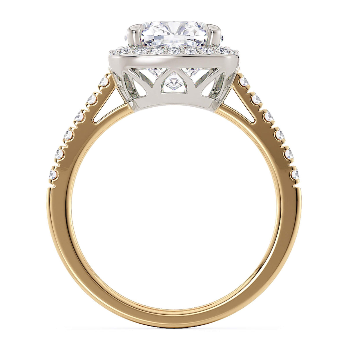 Side view of the Frankie cushion cut diamond halo ring.  Side view showing the beautiful open setting allowing light into centre diamond, allying it to shine bright.  — view 5